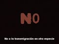 No.mp4