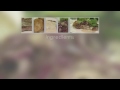 video thumbnail 3