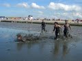 Norddeich 08