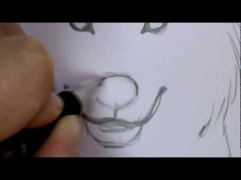 how to draw step by step a wolf