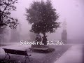 Chuva, Neve Portugal