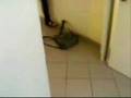 Extreme Sports: lancio in lungo