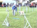 Dion und Maja, K�ngen, 27.09.08, K�ngen, Jumping