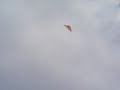 kite-vila nova de sao bento 2"
