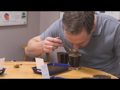 Coffee * 10 Steps from Seed to Cup | Tellwut.com