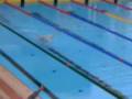 videos de III Campeonato de España por clubes 2008 Mallorca ELIMINATORIAS