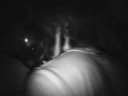 song: copper

song: beauty

artist: the kill van kull collective recordings