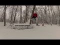 Pando Snowday