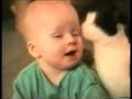 (ishikarose & Oyeh2) Funny Cats