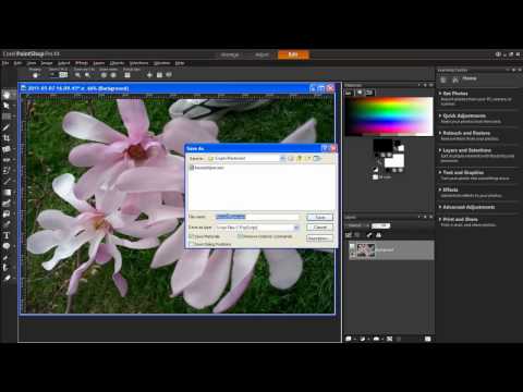 how to resize images in paint in mm