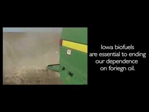 McCain vs Iowa Innovation