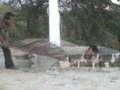 videos de MOV00005.mpg
