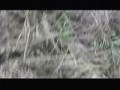 Idiot Box - Crocodile Hunter Idiot Box - Crocodile Hunter