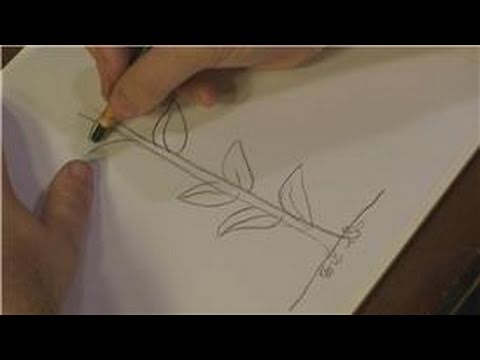 how to draw corn