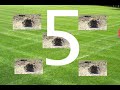 Wak a Gopher count down.mov