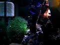 Saltwater Aquarium