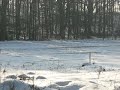 niewodnica 2