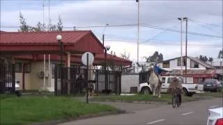 [REPORTAJE] Denuncian mal estado en Consultorio de Cholchol