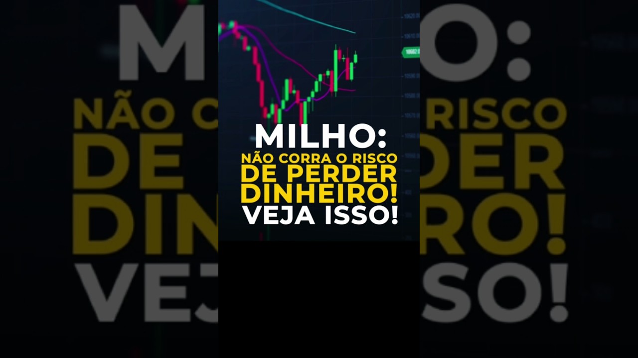 Milho: Não Corra O Risco De Perder Dinheiro! Veja Isso!