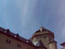 fauconnerie-mdival-au-chateau-de-malbrouck.html