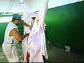 videos de Matadouro II