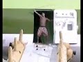 Video realmente impresionante