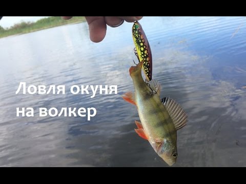 волкер на щуку видео волкер на щуку видео