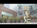 Purdue's 2009 highlights captured on video