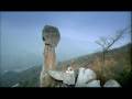 Cool Solitude - Huiping Mo perfoms beautiful yoga asanas on Tian Mu Mountain, Zhejiang, China