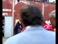 Caballo herido por un Toro (Fiestas de La Granja 2007)