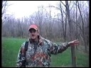 videos de bobcat trying to catch deer