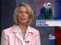 Fire Threatens California Condors
