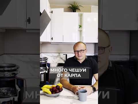 Может ли измельчитель пищевых отходов засорить канализацию? Диспоузер для раковины Waste Fighter.