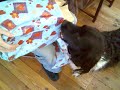 Dog Unraps Gift for mom!