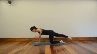 Perdigueiro com o Magic Circle