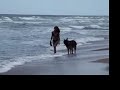 Henry at the Beach