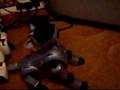videos de aibo and aibo