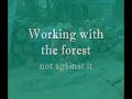 Doug Ford - Smeaton Wood cutter