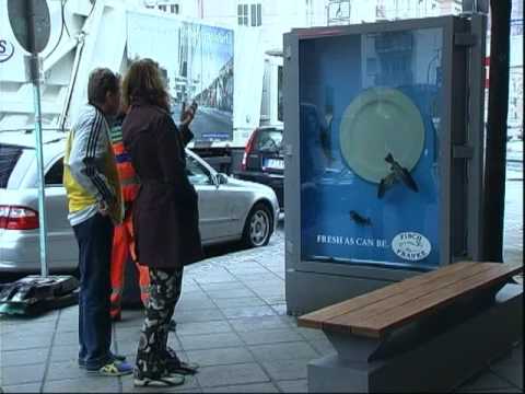 Video ansehen