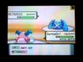 Pokemon WiFi Battle 152 (Solahach aka Chris)