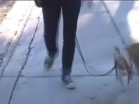 See video