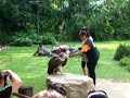 A nice candidate for a pet