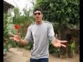 EDINALDO BBB8 EDINALDO BBB8