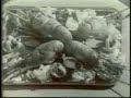 Comercial de Cerveza Polar