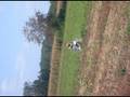 teamgigi gilera