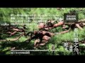 Click here to watch this video 2011-12-15の作曲＆録音「芥川龍之介 追憶：庭木」