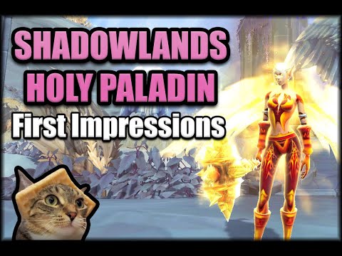 How Does Holy Paladin Feel in Shadowlands Beta?