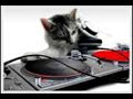 hardtrance - technotromix hardtrance - technotromix