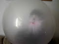 Maior bola de Chiclete do Mundo - (Trabalho_Novas_M�dias)