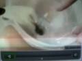 Eel Soup YUCK